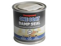 Thompson's One Coat Stain Block Damp Seal 250ml