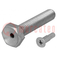 Pin; M10; Plunger mat: steel; Plating: zinc; Thread len: 50mm