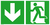 Modellbeispiel: Rettungsschild Notausgang (links) mit Richtungspfeil abwärts (Art. 38.0084)