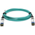 AddOn Networks ADD-SCISEX-AOC1M InfiniBand/fibre optic cable 1 m SFP+ Aqua colour