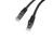 Lanberg PCU6-10CU-0200-BK kabel sieciowy Czarny 2 m Cat6 U/UTP (UTP)