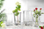 LEONARDO GK/Vase 22 Bloom Höhe 21,5 cm, Durchmesser ca. 14 cm Klarglas -