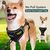 BLUZELLE Hundegeschirr Kleine Hunde, Reflektor Brustgeschirr mit Griff & Tasche für GPS Tracker, Anti-Zug Hundeweste Hund-Warnweste Atmungsaktiv, - XS Schwarz 2
