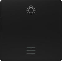 DELTA i-system Wippe mit Fenster und Symbol Licht,soft schwarz, 5TG62010SB21