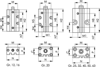 6829BL-16 Schwenkspanner, pneumatisch, Blockversion