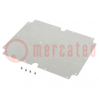 Mounting plate; steel