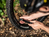 BBB Cycling SingleShot MTB Schwarz Handluftpumpe