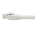 Tripp Lite N272-025-WH Cat8 25G/40G zertifiziertes hakenloses geschirmtes S/FTP-Ethernet-Kabel (RJ45 Stecker/Stecker), PoE, weiß, 7,62 m