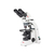 Microscopio Petrográfico Profesional MOTIC serie BA-310 POL, trinocular (20:80 ), cable EU