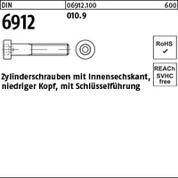 DIN 6912 010.9 M 12 x 30 VE=S