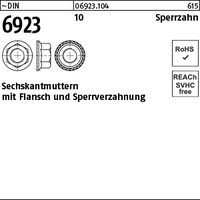 DIN 6923 10 M 10 mit Sperrverzahnung VE=S