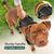BLUZELLE Hundegeschirr Kleine Hunde, Reflektor Brustgeschirr mit Griff & Tasche für GPS Tracker, Anti-Zug Hundeweste Hund-Warnweste Atmungsaktiv, - XS Schwarz 2