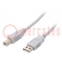Kábel; USB 2.0; USB A dugó,USB B dugó; 2m; világosszürke