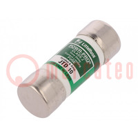 Fuse: fuse; time-lag; 10A; 600VAC; 300VDC; industrial; 20.6x57.2mm