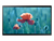 Samsung QB24R-T Digitaal A-kaart 61 cm (24") Wifi 250 cd/m² Full HD Zwart