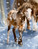 COPPENRATH Wandkalender 72644 Winterpferde