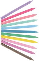 Bic Kids Plastidecor Hard Sharpenable Crayons Assorted Colours (Pack 24)