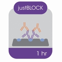 Blocking solution for Western blot Type JUSTBLOCK 500 ml