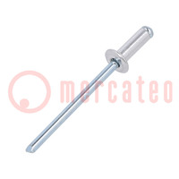 Rivet; aluminium; Rivet diam: 3mm; L.rivet: 8mm; 30pcs.