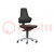 Chair; ESD; Back dim: 530mm; 450÷600mm