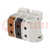 Splice terminal: rail; 50mm2; ways: 3; terminals: 6; screw terminal