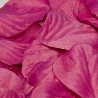 Artificial Silk Eleganza Rose Petal in a Bag - Fuchsia