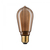 Paulmann 28829 ampoule LED 1800 K 3,6 W E27