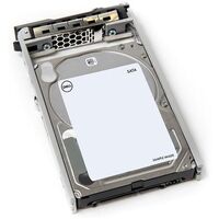 1TB 7.2K RPM SATA 2.5in Hot-plug Hard Drive13GCusKit Hard disk interni