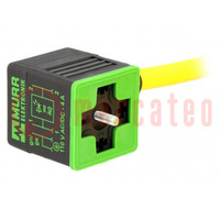 Valve connector; plug; Type: A; PIN: 4; 18mm; female; 24VDC; 4A; 24VAC