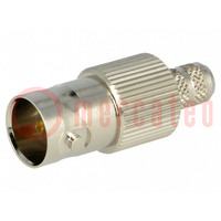 Connector: BNC; plug; female; straight; 75Ω; RG59/U; crimped; POM