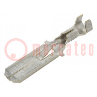 Terminal: flat; 6.3mm; 0.8mm; male; 0.8÷2mm2; crimped; for cable