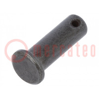 Assembly pin; steel; BN 483; Ø: 6mm; L: 18mm; DIN 1434; with hole