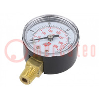 Manometer; 0÷25bar; non-aggressive liquids,inert gases; 40mm