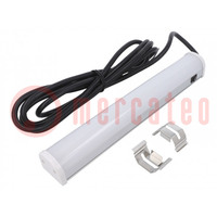 Filament lamp: LED lamp; cool white; 24VDC; IP20; Len: 3m; L: 300mm