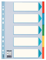 Kartonregister Standard Blanko, A4, Karton, 5 Blatt, weiss