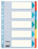 Kartonregister Standard Blanko, A4, Karton, 5 Blatt, weiss