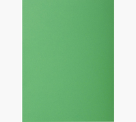 Exacompta 800004E carpeta Caja de cartón Verde A4