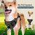 BLUZELLE Hundegeschirr Kleine Hunde, Reflektor Brustgeschirr mit Griff & Tasche für GPS Tracker, Anti-Zug Hundeweste Hund-Warnweste Atmungsaktiv, - S Oliv Grün