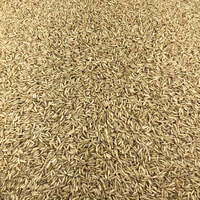 Riz Basmati Complet Bio en Vrac 250g