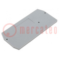End plate; grey; WS-4