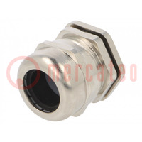 Cable gland; PG21; IP68; brass; Body plating: nickel; RRPL