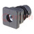 Plugs; for feet fastening,for profiles; Body: black; H: 34mm