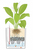 LECHUZA CUBE 30 Drinnen Topfpflanzer Freistehend Polypropylen (PP) Weiß