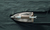 Rowenta DX1635 Plancha a vapor Suela de acero inoxidable 2400 W Marrón