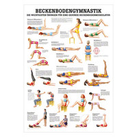 Beckenbodengymnastik Mini-Poster Anatomie 34x24 cm medizinische Lehrmittel, Nicht Laminiert