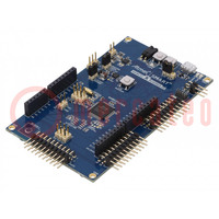 Dev.kit: Microchip ARM; Components: SAMC21J18A; SAMC