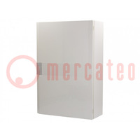 Enclosure: teletechnical; IP40; wall mount,for wall mounting