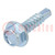 Screw; for metal; with flange; 5.5x16; Head: hexagonal; 8mm; zinc