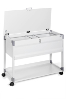 Durable 3787 file storage box Stainless steel Grey
