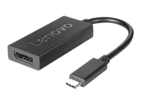 Lenovo 4X90L66916 USB grafische adapter Zwart